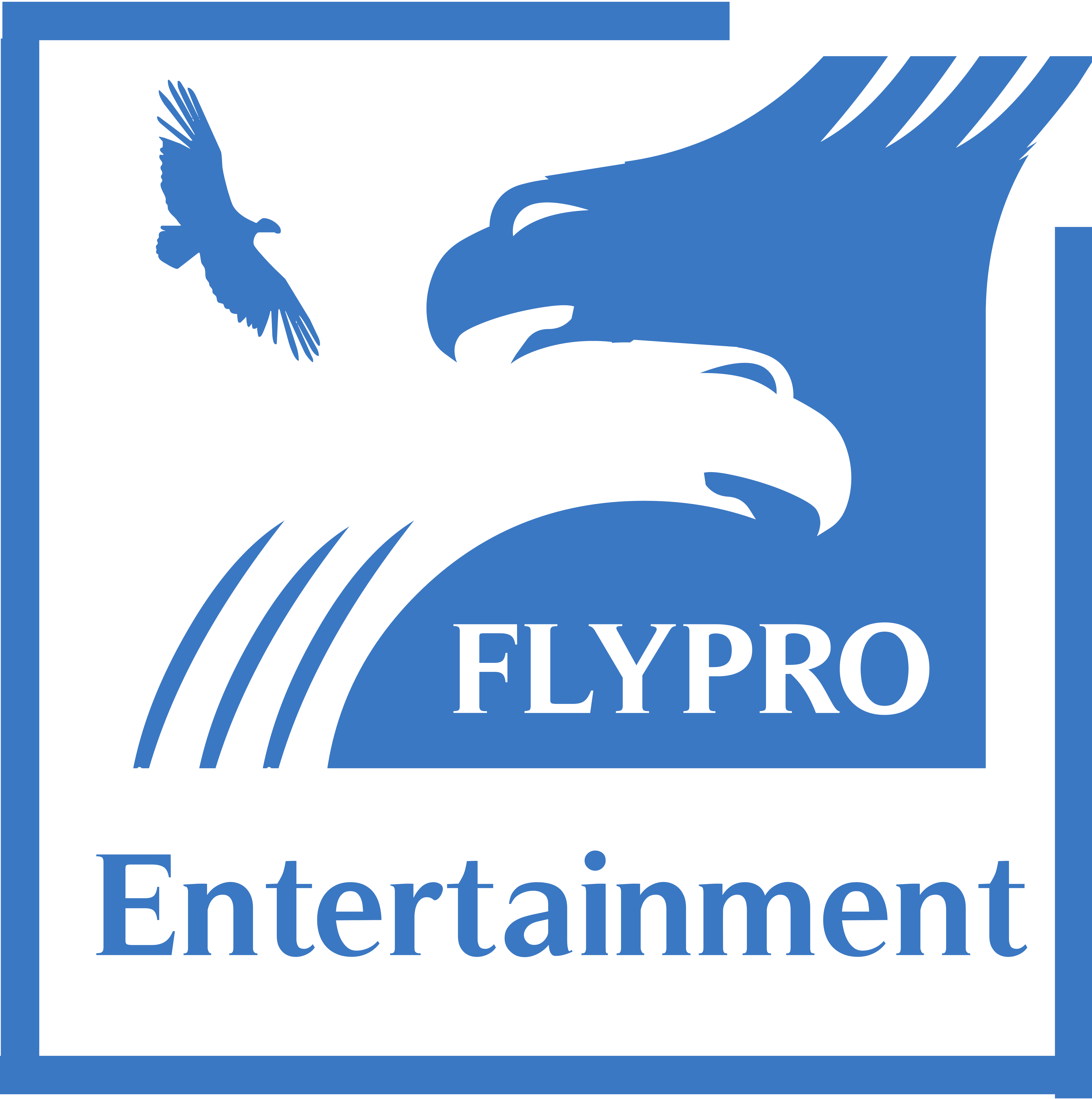 Logo Flypro