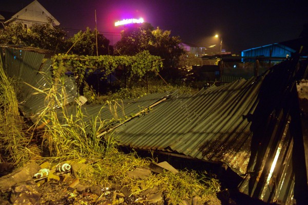 Quảng Ninh: Bão số 3 đổ bộ, hàng loạt cây xanh bị quật ngã